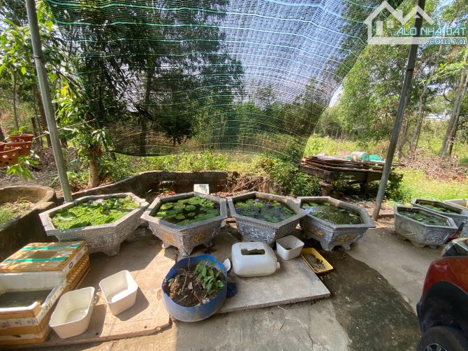bán lô đất nhà vườn 1724m2 có nhà,điện  nước đầy đủ,đất ở tại nông thôn chỉ vơi giá 2,5 ỷ - 2
