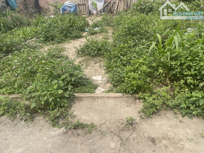 VÂN NỘI ĐÔNG ANH. OTÔ VÀO. 20m RA OTO TRÁNH THÔNG - 2