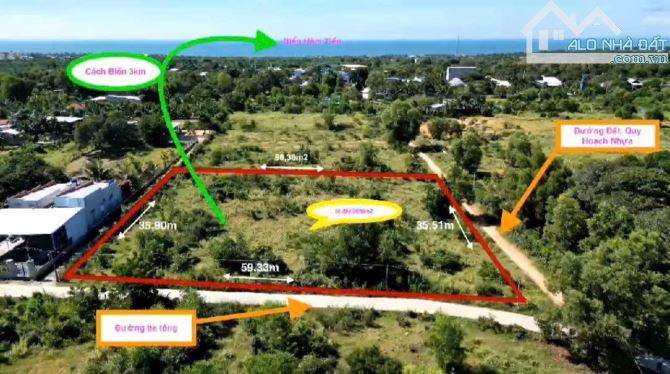 Ngộp Thiện Nghiệp , bán 2090m2 đất quy hoạch thổ cư - 2