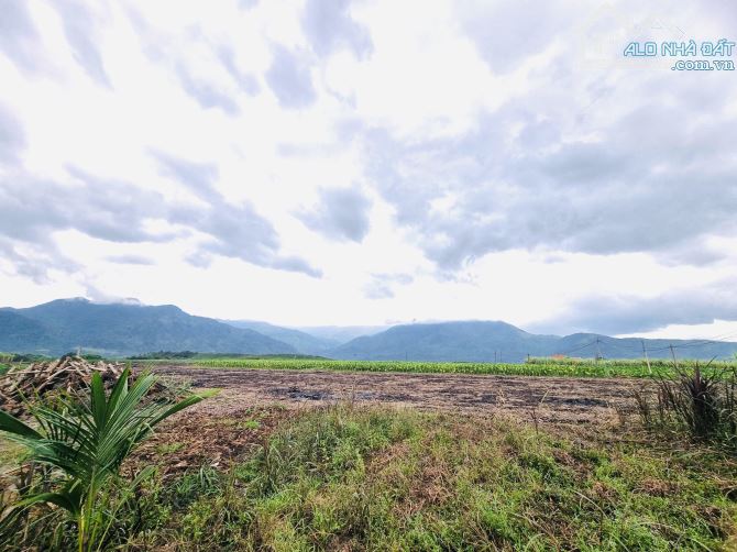 500m2 chỉ 139 triệu tại Ninh Hoà, Khánh Hoà - 2