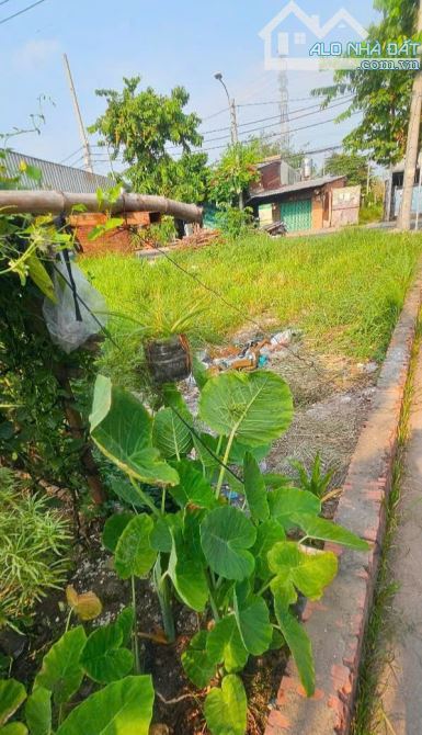 CHỦ GỬI LÔ ĐẤT 2 MẶT TIỀN , 12X20, CN 236M2, FULL THỔ CƯ, ĐÔNG THẠNH, HÓC MÔN, CHỈ 6TY400 - 2