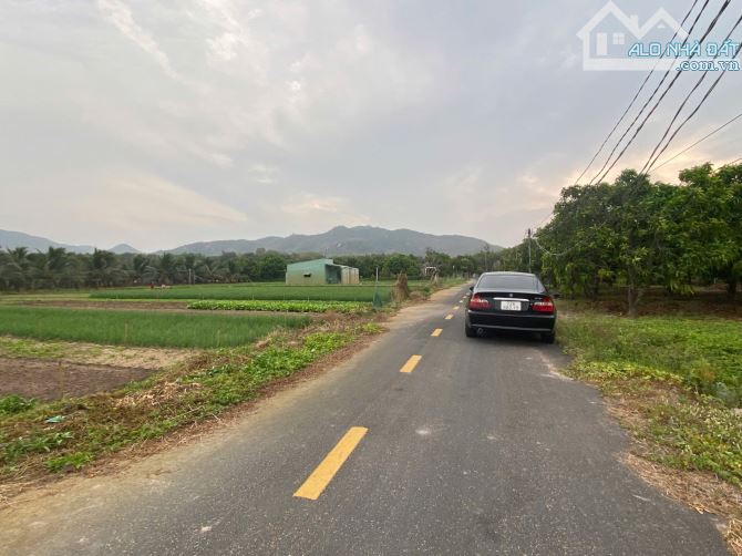 Thị trấn Phước Hải, 2000m2, ngang 21,6m đường nhựa, 300 thổ cư, view núi đẹp, giá 6tyx - 2