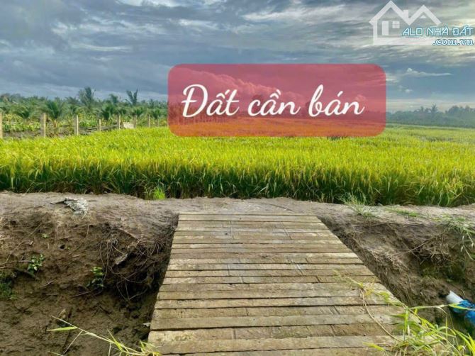 1000m2 vườn - Đường ô tô - Gần ngay thị trấn Tân Trụ - 2