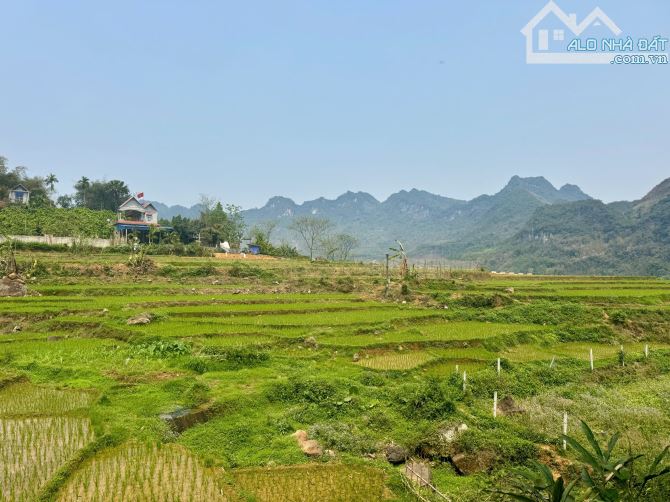 2000m Bám Suối Quanh Đất - View Cánh Đồng - Bám Đường Bê Tông - 3