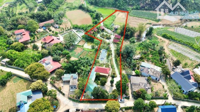 Chính Chủ Sang Nhượng Lại HomeStay Đang Hoạt Động Với Lượng Khách Đều Diện Tích 5000m - 3