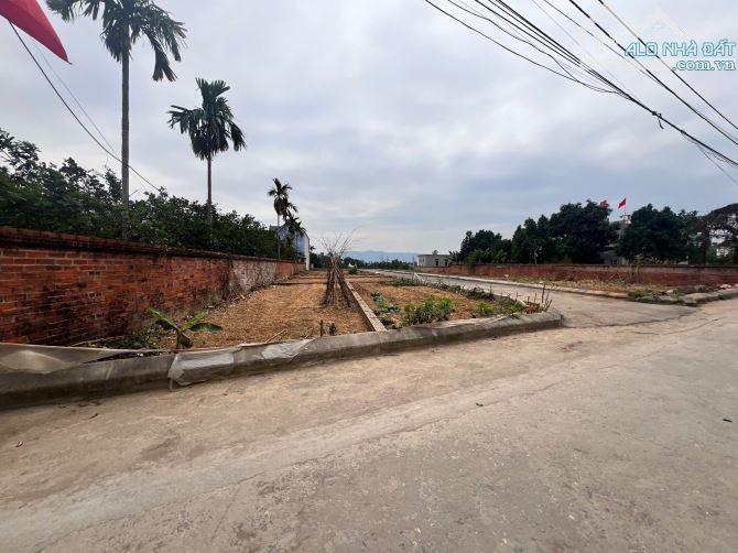Đón sóng Vin Đồng Trúc và Metro 5 hàng hiếm 62m trục chính thôn Chầm Muộn cách VIN chỉ 1km - 3