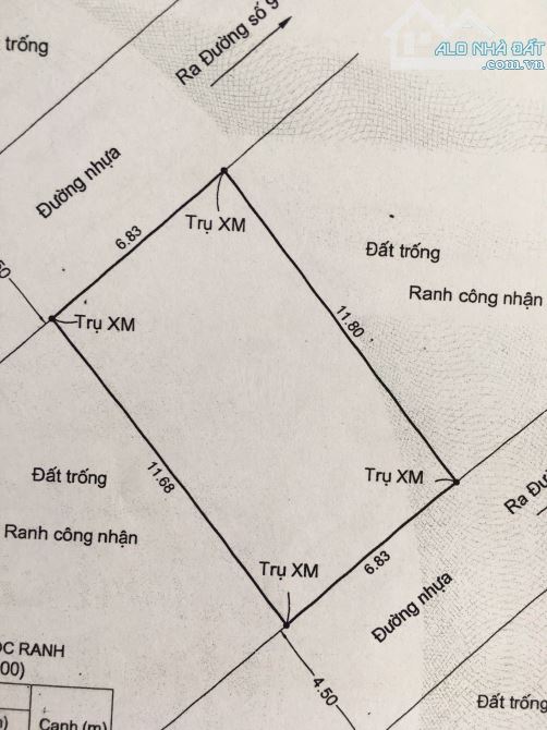 BÁN NHANH LÔ ĐẤT HẺM XE HƠI, ĐƯỜNG SỐ 9, P. LINH TÂY, 80M2, NGANG 6.83M, SỔ ĐẸP VUÔNG VỨC - 3