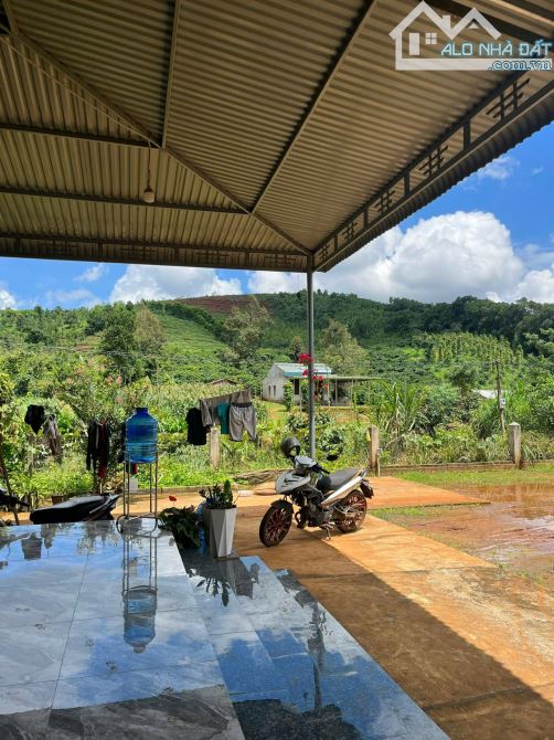 Nhà mái Thái to . 1,6 ha đất Tiêu ,Café, Sầu Riêng cách QL14 khoảng 1 Km - 3