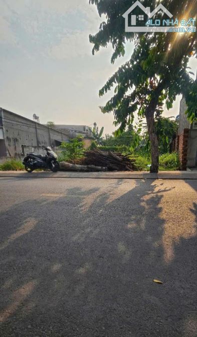 CHỦ GỬI LÔ ĐẤT 2 MẶT TIỀN , 12X20, CN 236M2, FULL THỔ CƯ, ĐÔNG THẠNH, HÓC MÔN, CHỈ 6TY400 - 3