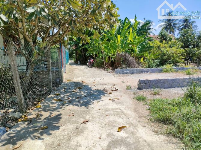 Bán đất Diên Toàn giá rẻ thôn Phước Trạch ngay Uỷ ban xã đi vào - 3