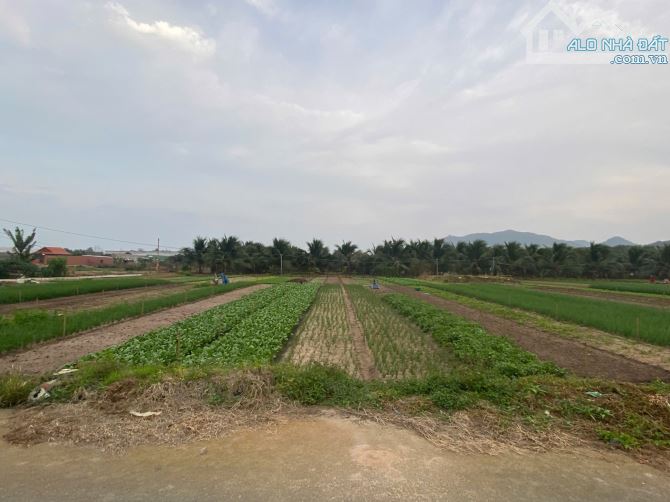 Thị trấn Phước Hải, 2000m2, ngang 21,6m đường nhựa, 300 thổ cư, view núi đẹp, giá 6tyx - 3