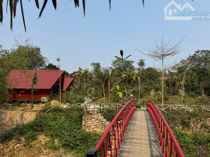 Chính Chủ Sang Nhượng Lại HomeStay Đang Hoạt Động Với Lượng Khách Đều Diện Tích 5000m - 4