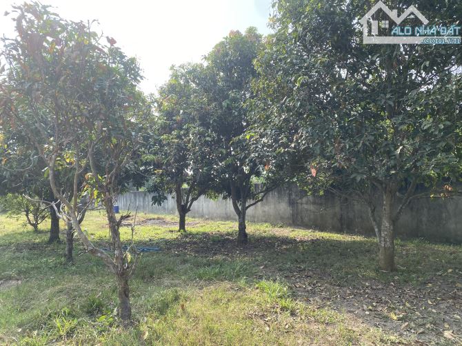 CẦN BÁN GẤP LÔ ĐẤT 1260m2. ĐƯỜNG THÔNG. NGAY KCN THÀNH THÀNH CÔNG. GIÁ 6 TỶ TL - 4