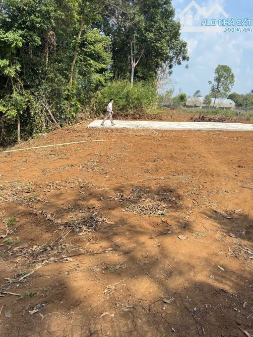 Đất ngay làng Doanh Nhân - Giá quá tốt để đầu tư 399 Triệu - 3