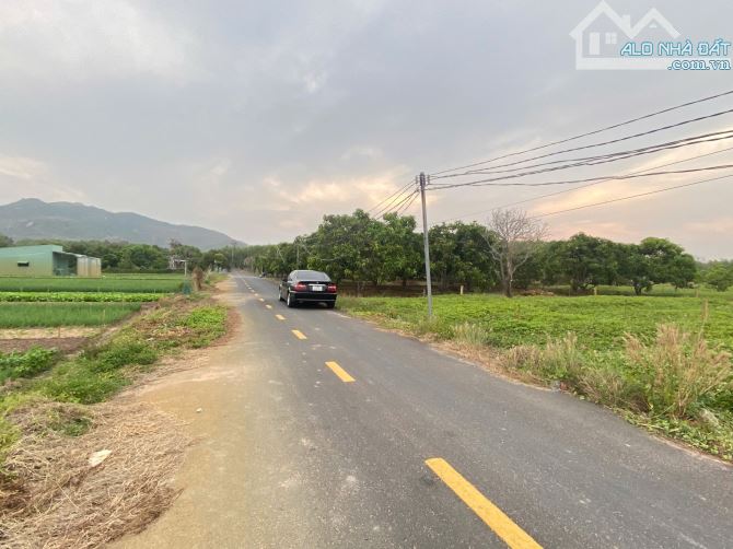 Thị trấn Phước Hải, 2000m2, ngang 21,6m đường nhựa, 300 thổ cư, view núi đẹp, giá 6tyx - 4