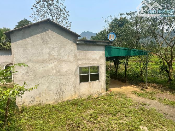 2000m Bám Suối Quanh Đất - View Cánh Đồng - Bám Đường Bê Tông - 5