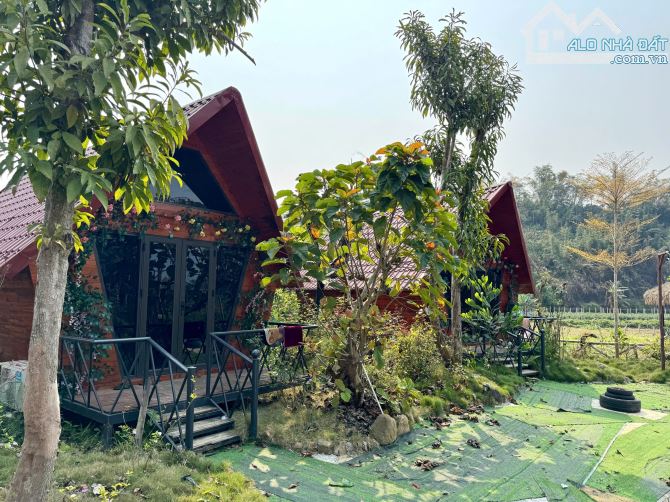 Chính Chủ Sang Nhượng Lại HomeStay Đang Hoạt Động Với Lượng Khách Đều Diện Tích 5000m - 5