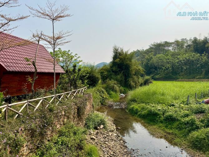 Chính Chủ Sang Nhượng Lại HomeStay Đang Hoạt Động Với Lượng Khách Đều Diện Tích 5000m - 5