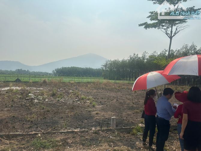 Cần bán lô đất nghỉ dưỡng gần Tân Biên Tây Ninh view  núi bà đen - 5