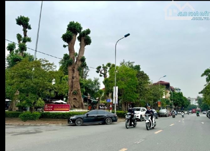 Nhỉnh hơn 40 Tỷ/ 308 M2/11.9 Mt/ Nguyễn Mậu Tài/ phân lô vỉa hè ô tô chánh - 7