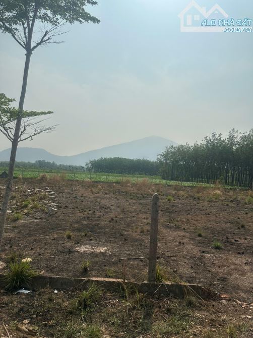 Cần bán lô đất nghỉ dưỡng gần Tân Biên Tây Ninh view  núi bà đen - 7
