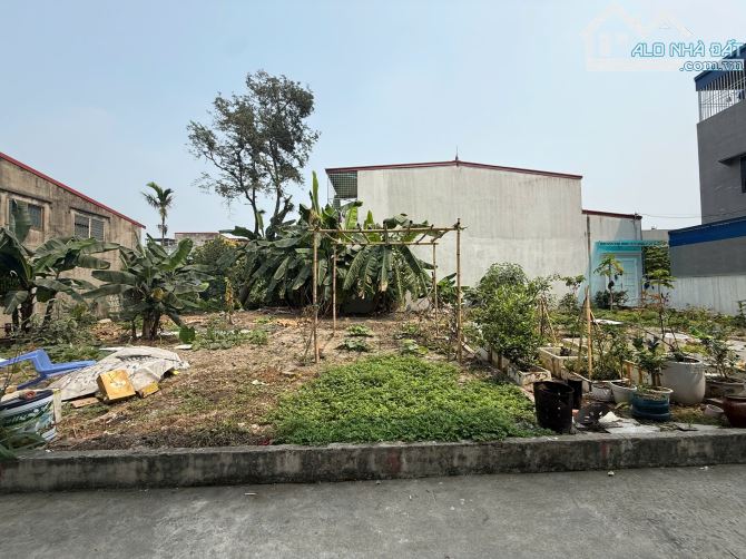 Bán 59m2 đất ngõ ô tô, tuyến 2 Quỳnh Cư – Hùng Vương – Hồng Bàng giá 1,35 tỷ