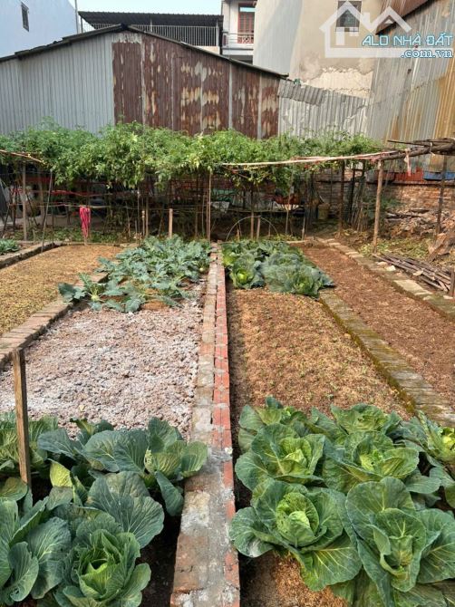 ‼️‼️ MỘT LÔ DUY NHẤT GIÁ 1 TỶ XX ĐẠI HỌC  ♻️ PHÙ KHÊ - TỪ SƠN - BẮC NINH  🔷 Dt : 50m Mt :