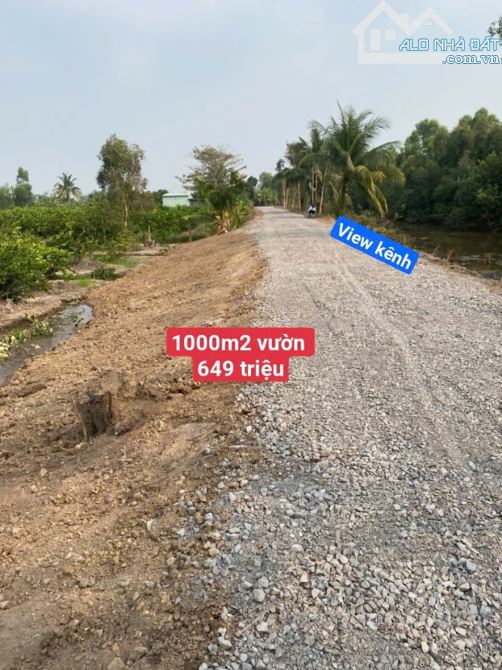 1000m2 vườn view kênh lớn đường ôtô 649 triệu Tân thành_Thủ Thừa Long An rẽ ( có 4000m2)