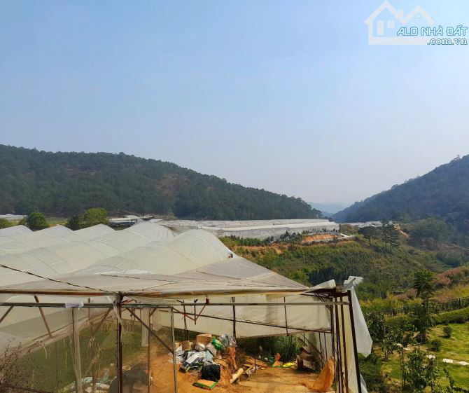 Bán đất view đẹp đồi thông gần trung tâm Đà Lạt, đi Hồ Xuân Hương khoảng 5km