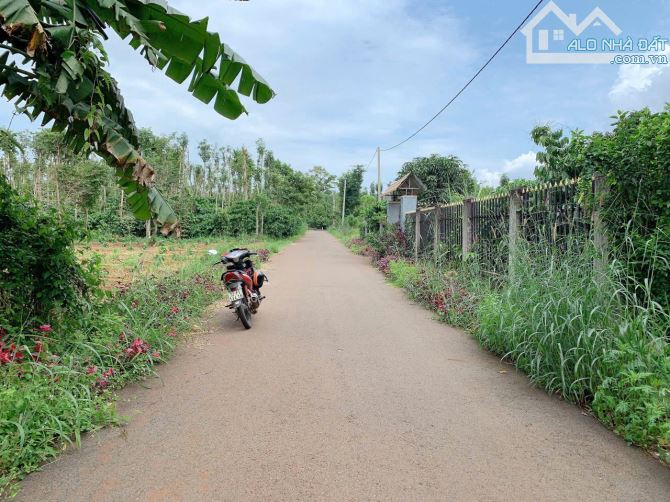 Bán khoảng 3 sào 1 (3112m2) đất Bàu Chinh, huyện Châu Đức, BRVT. - 10