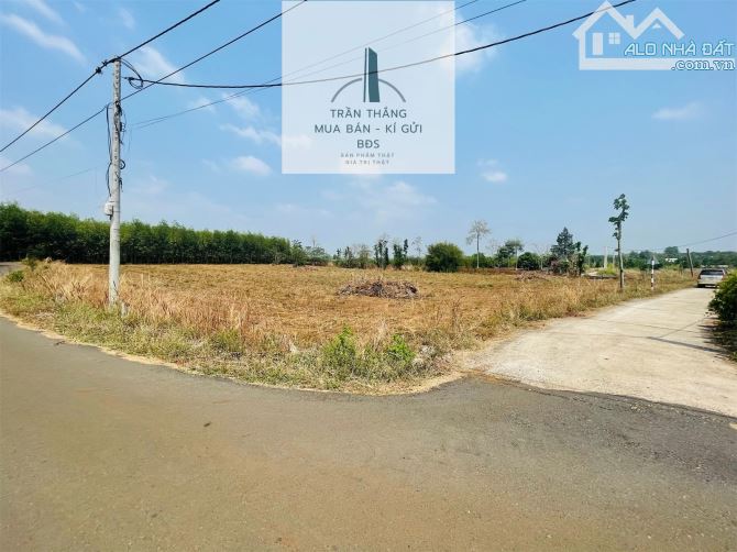 300triệu Có Ngay 399m2 Đất Xã Sơn Bình - Đường Ô Tô - Dân Cư - 1