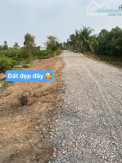1000m2 vườn view kênh lớn đường ôtô 649 triệu Tân thành_Thủ Thừa Long An rẽ ( có 4000m2) - 1