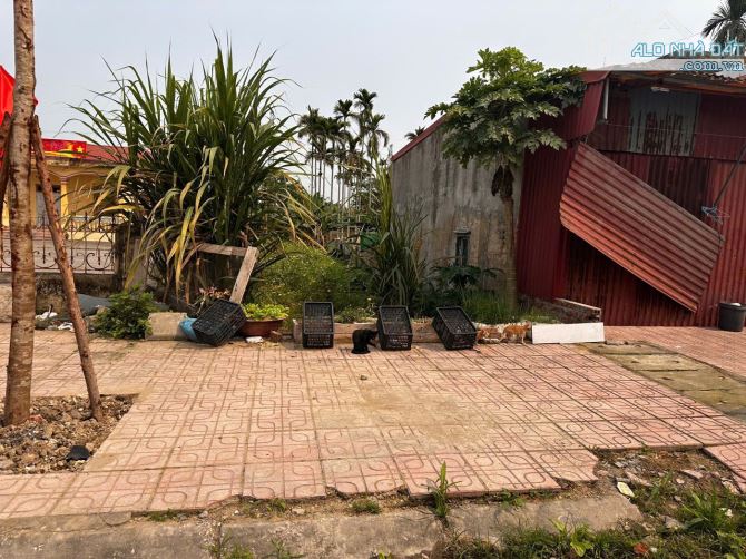 Bán 100m2 trục đường chính Hy Tái,Hồng Thái,An Dương,Hải Phòng - 1