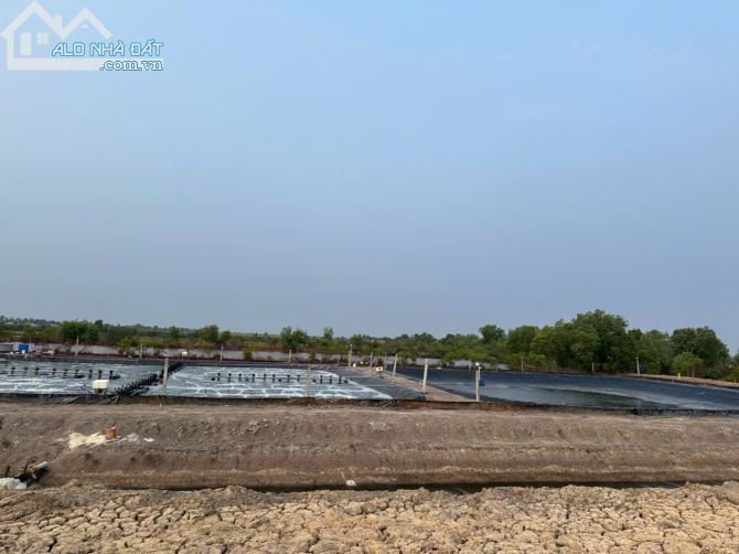 CHÍNH CHỦ BÁN 28 CÔNG ĐẤT + MÔ HÌNH NUÔI TÔM CN CAO - XÃ PHÚ MỸ, H.GIANG THÀNH, KIÊN GIANG - 2
