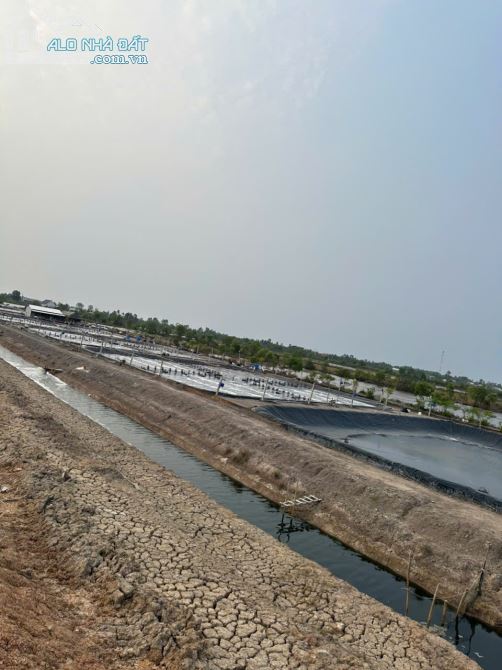 CHÍNH CHỦ BÁN 28 CÔNG ĐẤT + MÔ HÌNH NUÔI TÔM CN CAO - XÃ PHÚ MỸ, H.GIANG THÀNH, KIÊN GIANG - 3