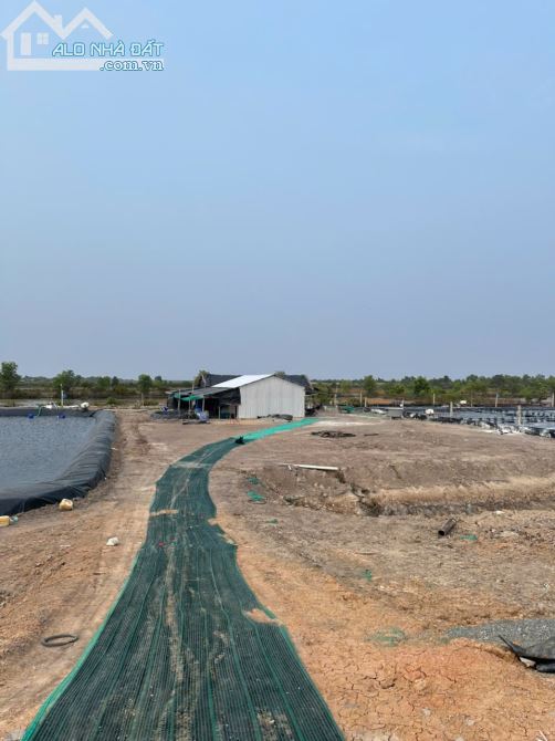 CHÍNH CHỦ BÁN 28 CÔNG ĐẤT + MÔ HÌNH NUÔI TÔM CN CAO - XÃ PHÚ MỸ, H.GIANG THÀNH, KIÊN GIANG - 4