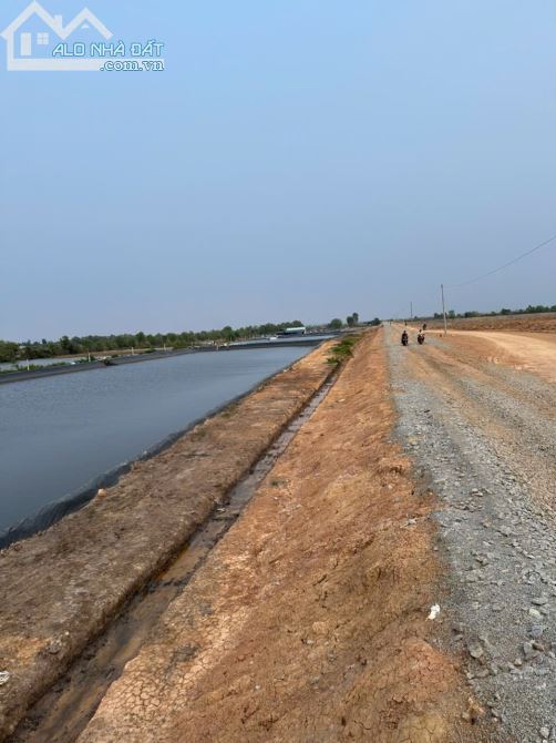 CHÍNH CHỦ BÁN 28 CÔNG ĐẤT + MÔ HÌNH NUÔI TÔM CN CAO - XÃ PHÚ MỸ, H.GIANG THÀNH, KIÊN GIANG - 5