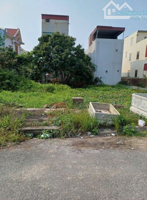 Mở bán lô biệt thự Hòa Nghĩa, Dương Kinh, Hải Phòng 200m - 2