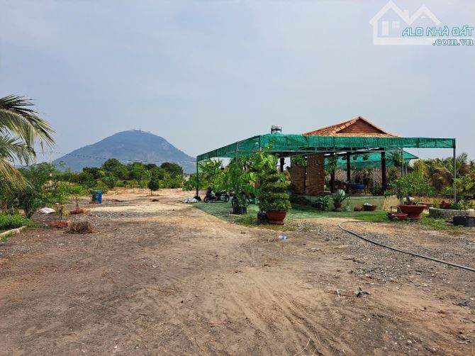 Cần bán 23.6 x 100 đất hẻm 784 Dương Minh Châu Tây Ninh - 2