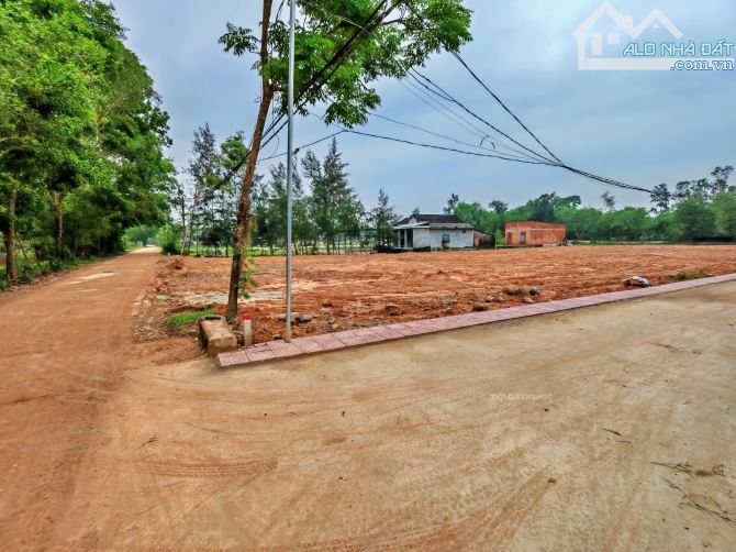 Đất biển Vinh An chỉ 320tr/lô - Đường ô tô vào tận nơi - 2