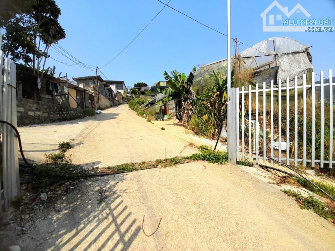 Bán đất view đẹp đồi thông gần trung tâm Đà Lạt, đi Hồ Xuân Hương khoảng 5km - 2
