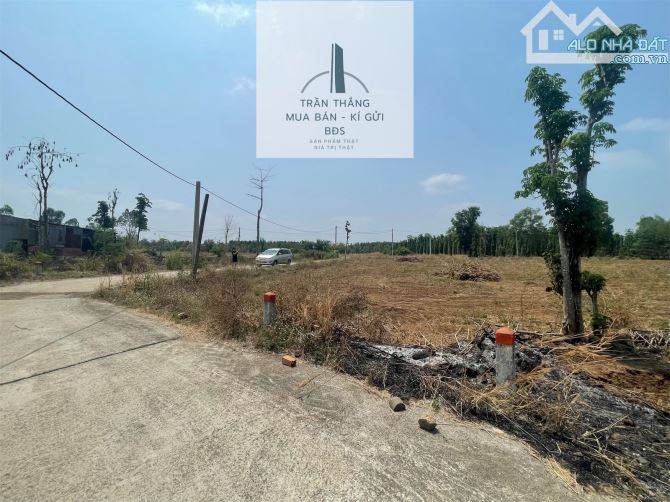 300triệu Có Ngay 399m2 Đất Xã Sơn Bình - Đường Ô Tô - Dân Cư - 3