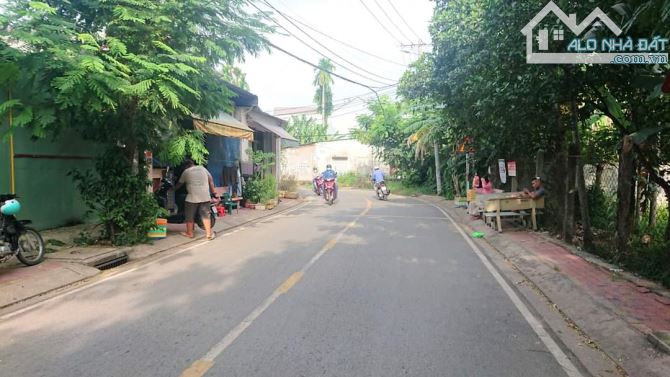 Bán lô đất sổ hồng riêng mặt tiền đường Bà Điểm 4, Hóc Môn - 3