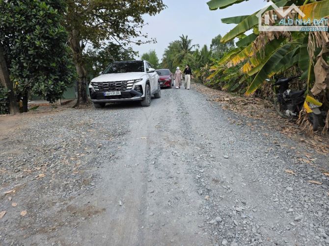 1000m2 vườn view kênh lớn đường ôtô 649 triệu Tân thành_Thủ Thừa Long An rẽ ( có 4000m2) - 3