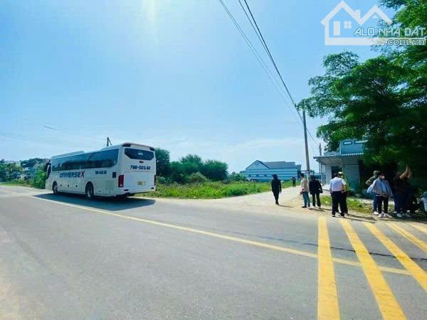 Sỉ lại 5 Lô Đất Đấu Giá Liền Kề Thị Trấn Liên Hương ( Giá 1Tỏi/Nền ) - 3