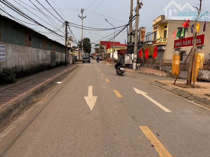 Bán 100m2 trục đường chính Hy Tái,Hồng Thái,An Dương,Hải Phòng - 3