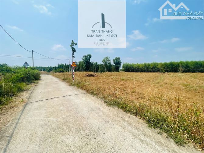300triệu Có Ngay 399m2 Đất Xã Sơn Bình - Đường Ô Tô - Dân Cư - 4