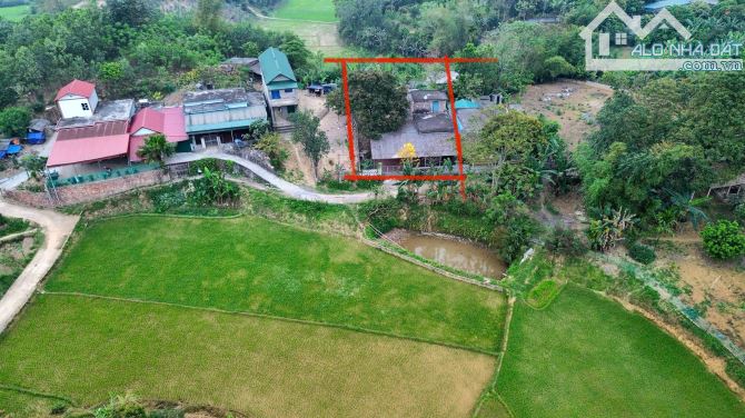 482m Có 200m Đất Ở - Sẵn Nhà Cấp 4 Chỉ Việc Về Ở - View Cánh Đồng Phía Trước Và Phía Sau - 4