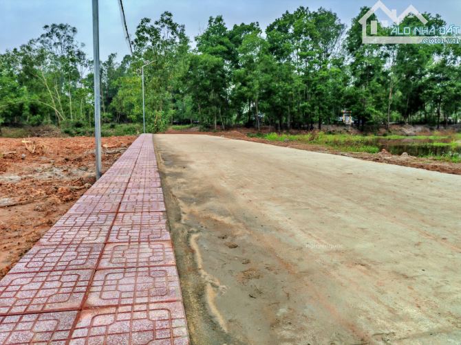 Đất biển Vinh An chỉ 320tr/lô - Đường ô tô vào tận nơi - 4