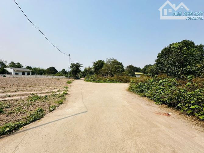 SIÊU PHẨM LÔ GÓC 1412M² – 2 MẶT TIỀN – SÁT KHU NGHỈ DƯỠNG – CƠ HỘI ĐẦU TƯ ĐÓN SÓNG - 4
